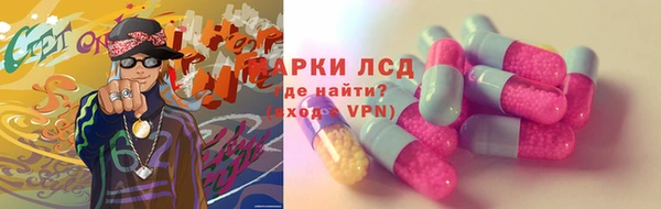 прущие грибы Алзамай