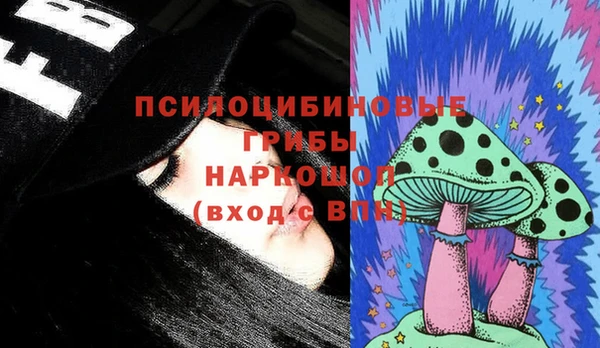 ГАЛЛЮЦИНОГЕННЫЕ ГРИБЫ Алексин