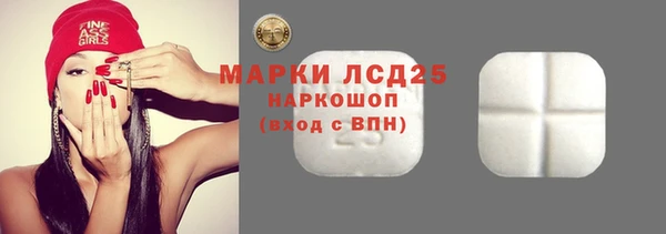 прущие грибы Алзамай