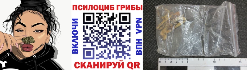 Псилоцибиновые грибы мицелий  даркнет сайт  Алексеевка 
